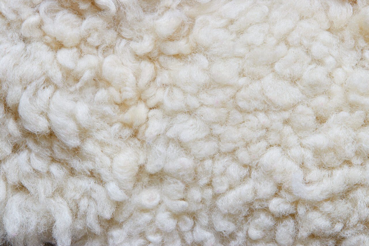 merino wool