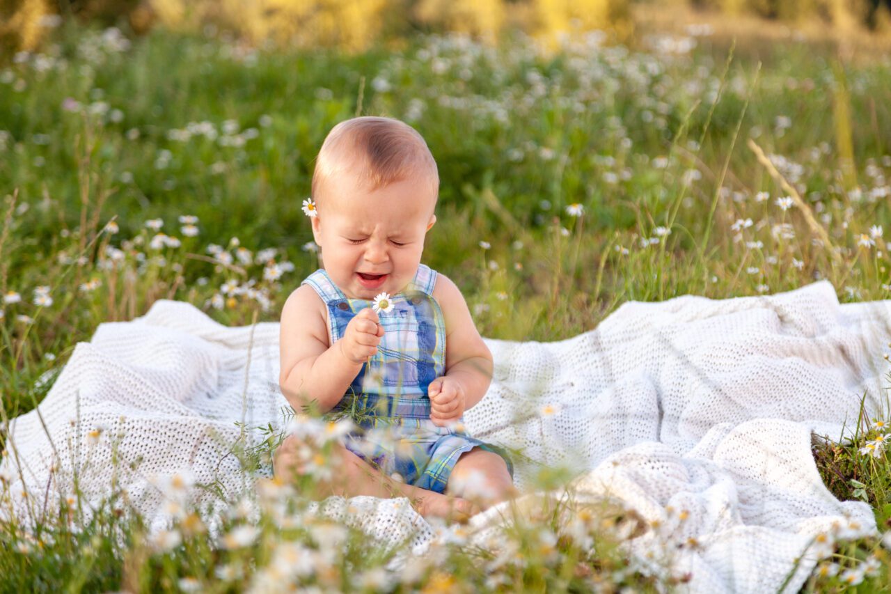 Cute little funny baby child eating chamomile, green grass, making grimace because allergy, toddler frowns, horizontal, copy space, summer background